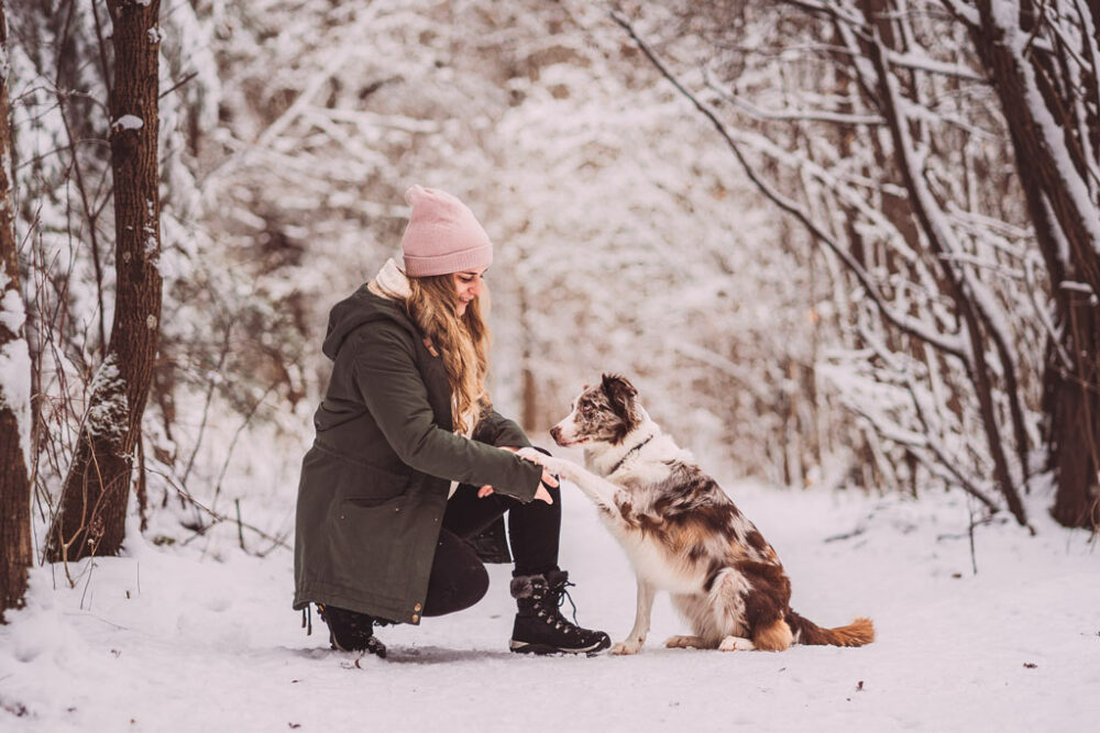 Fotoshooting mit Hund im Schnee