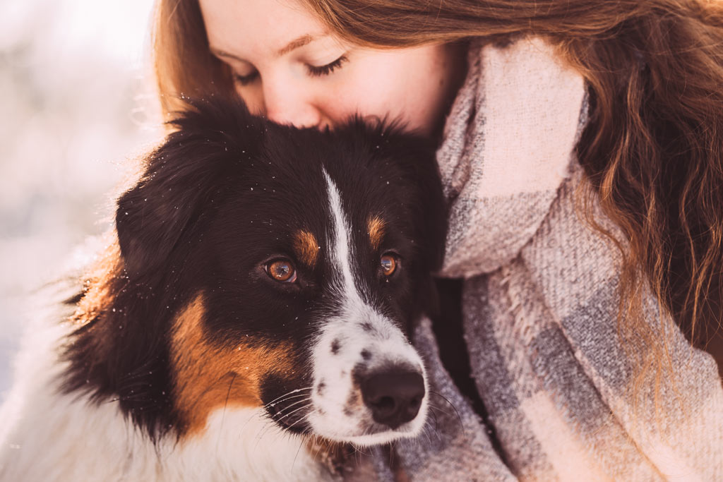 hundefotos-siegen-tiershooting-fotograf Hundeshooting in Siegen Hundefotos