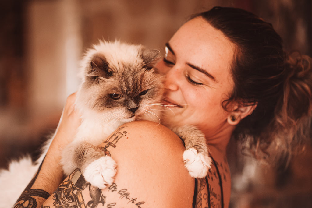 tiershooting-indoor-studioshooting-fotograf-siegen Fotoshooting mit Katzen