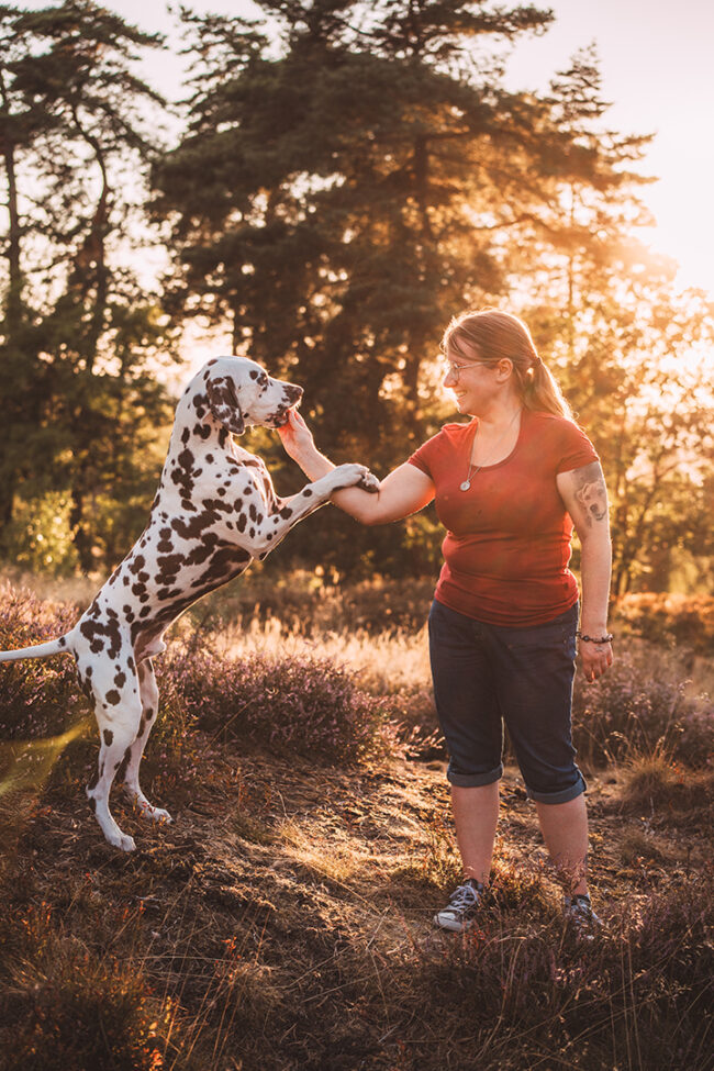 Hundeshooting mit Dalmatiner in Siegen